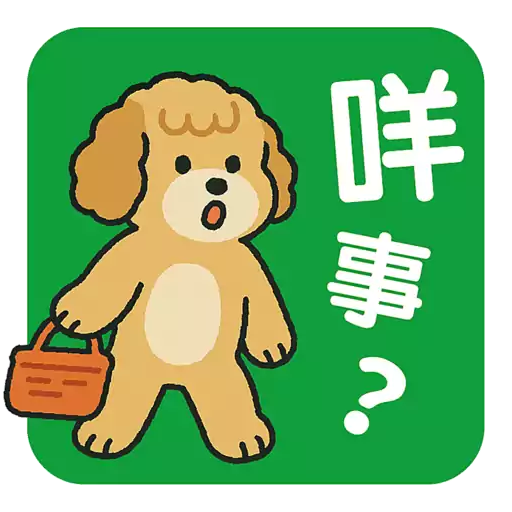 汪喵香港遊_Lordpet.studio