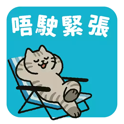 汪喵香港遊_Lordpet.studio