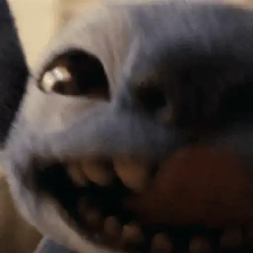 Stitch ✨💙