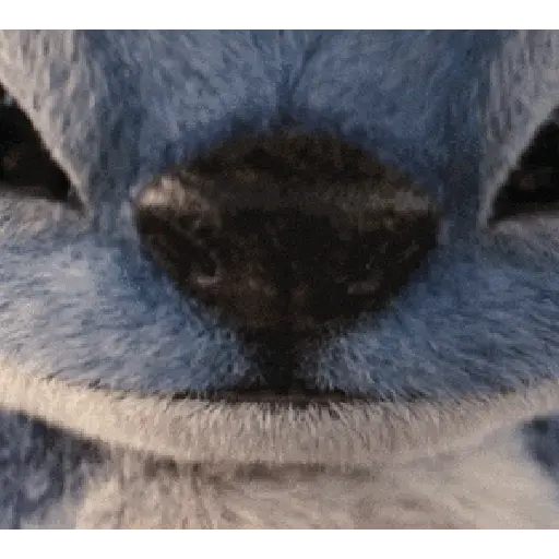 🌴🌾 Lilo & Stitch-Movie 🌾🌴