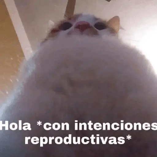 Más Reacciones #➊➎ 💬