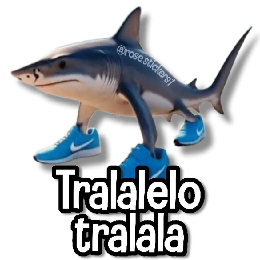 Memes Más Usados #4😎