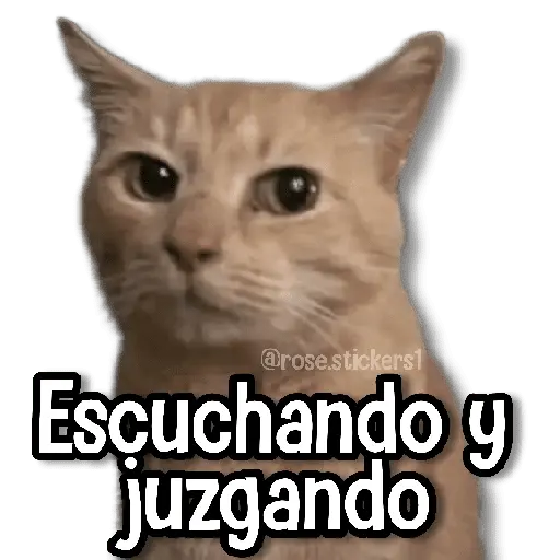 Memes Más Usados #4😎