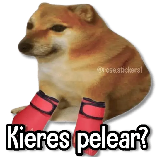 Memes Más Usados #4😎