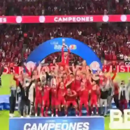 Toluca ⚽🥅 Diablos rojos🏆