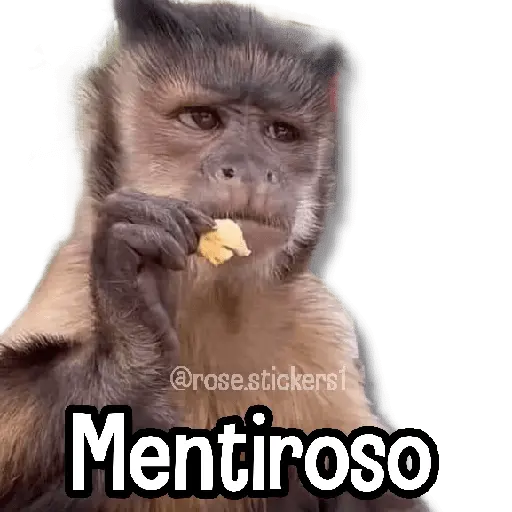 Changuitos pa Ti🐒🍌🌴
