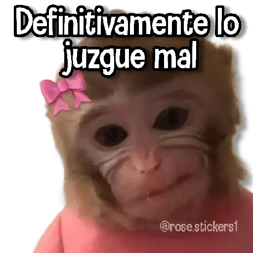 Changuitos pa Ti🐒🍌🌴