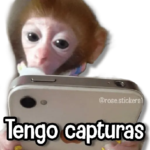 Changuitos pa Ti🐒🍌🌴