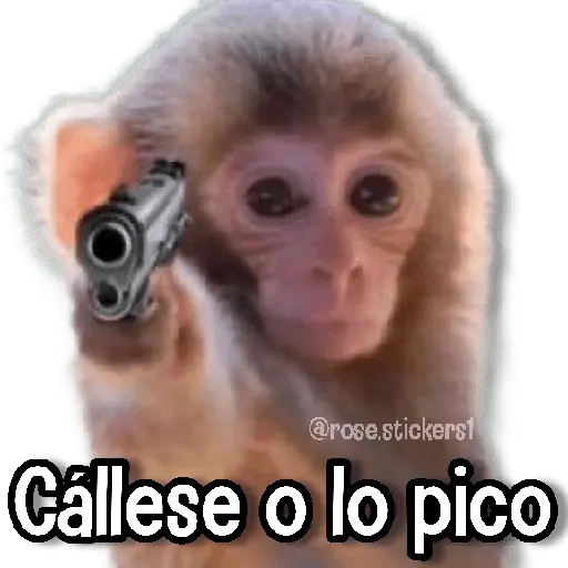 Changuitos pa Ti🐒🍌🌴