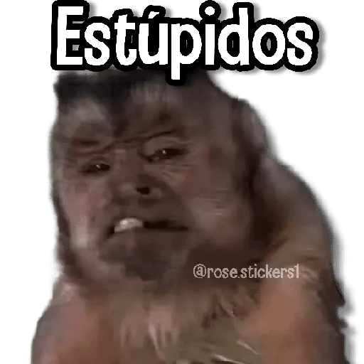 Changuitos pa Ti🐒🍌🌴