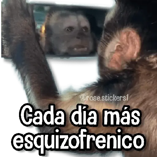 Changuitos pa Ti🐒🍌🌴
