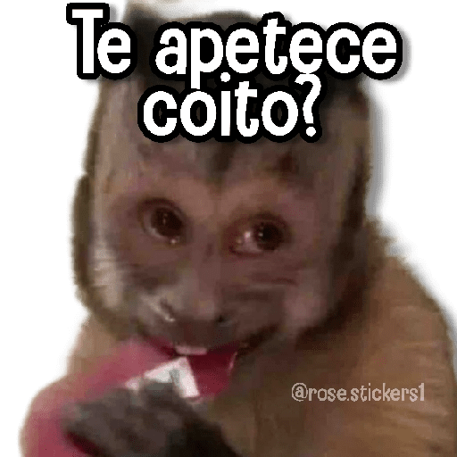Changuitos pa Ti🐒🍌🌴 preview