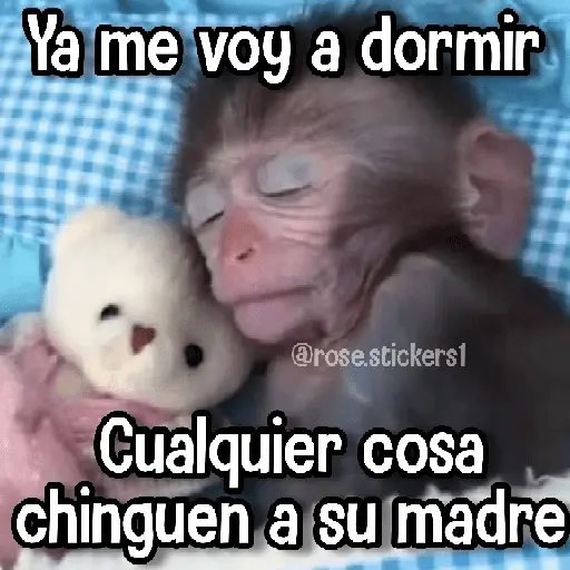 Changuitos pa Ti🐒🍌🌴