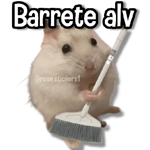 Memes Más Usados #5😎