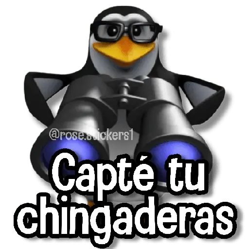 Memes Más Usados #5😎