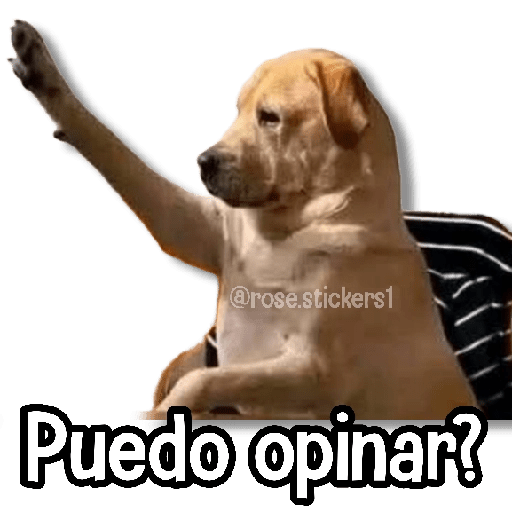 Memes Más Usados #5😎 preview