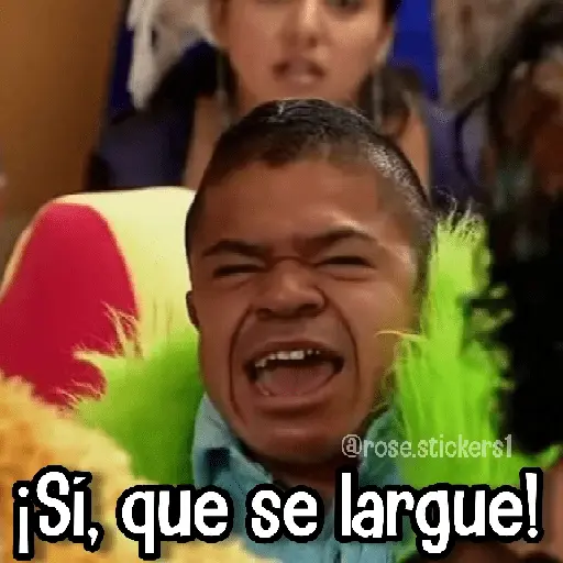 Memes Más Usados #5😎