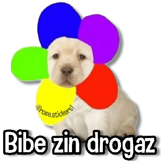 Memes Más Usados #5😎