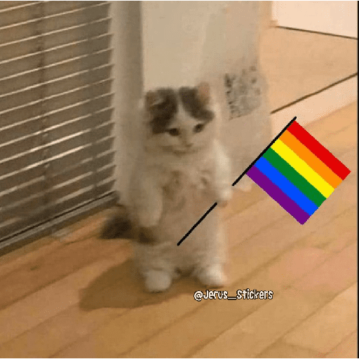 Mes LGBTQ+ 🏳️‍🌈 preview