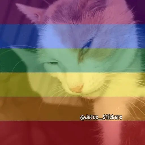 Mes LGBTQ+ 🏳️‍🌈