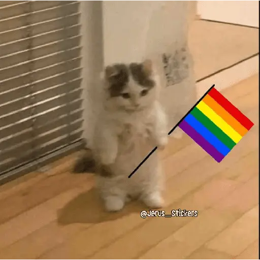 Mes LGBTQ+ 🏳️‍🌈