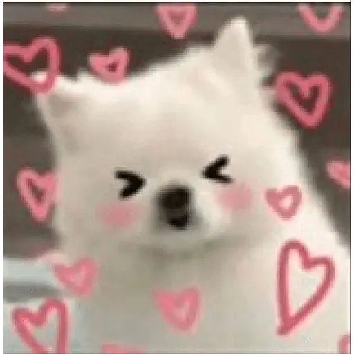 Cute doggy 🐶✧*