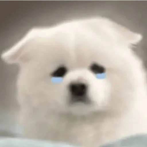 Cute doggy 🐶✧*