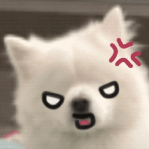 Cute doggy 🐶✧* preview