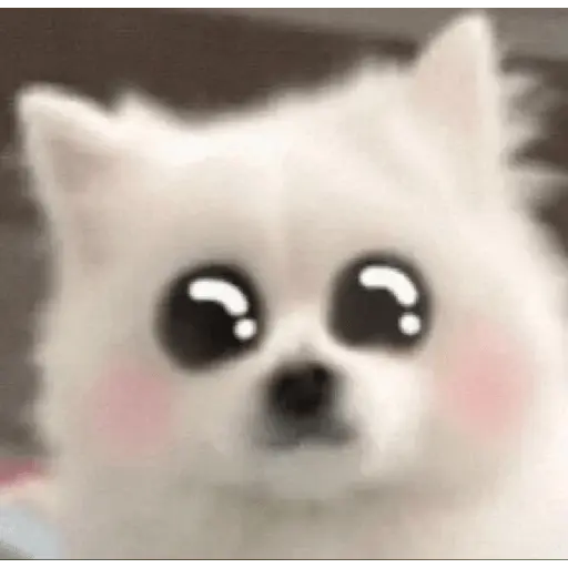 Cute doggy 🐶✧*