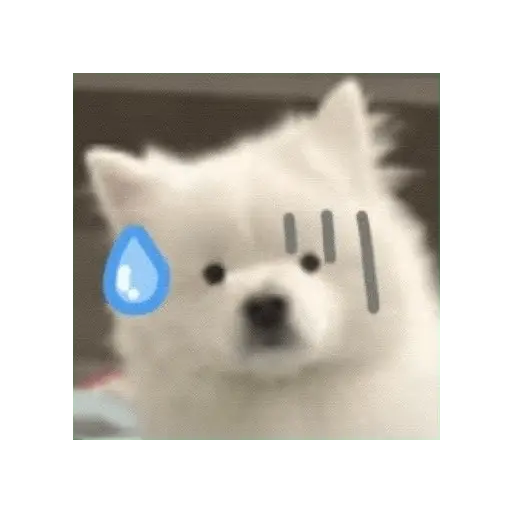 Cute doggy 🐶✧*