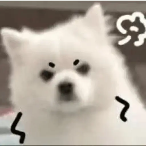 Cute doggy 🐶✧*
