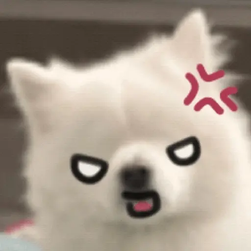 Cute doggy 🐶✧*