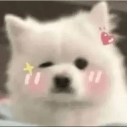 Cute doggy 🐶✧*