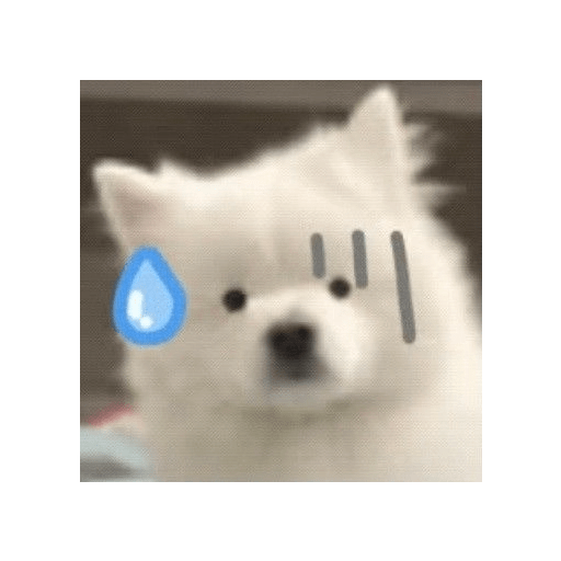 Cute doggy 🐶✧* preview