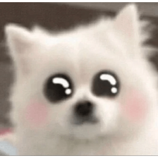 Cute doggy 🐶✧* preview