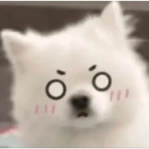 Cute doggy 🐶✧*