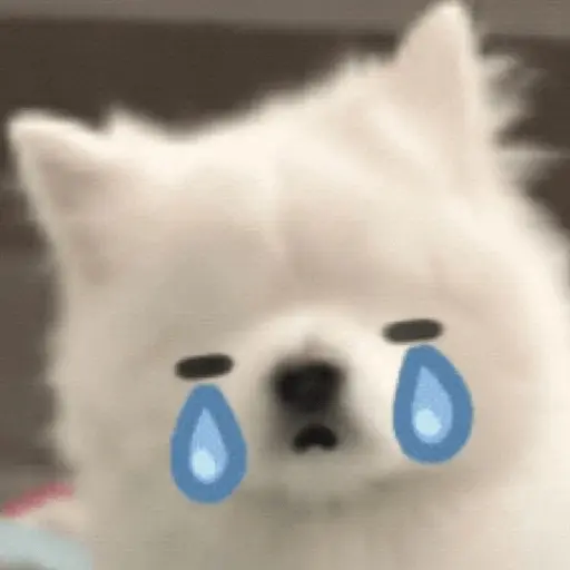Cute doggy 🐶✧*