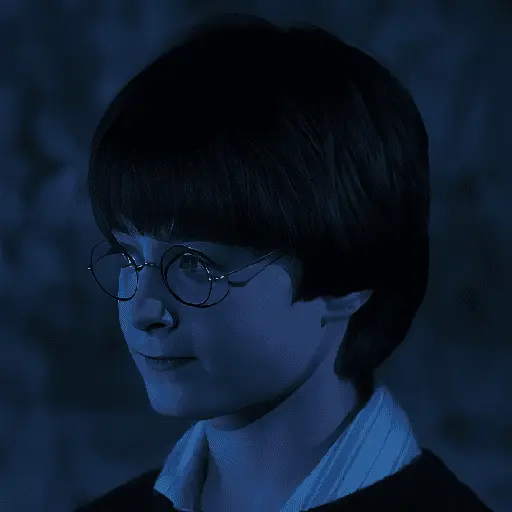Harry Potter