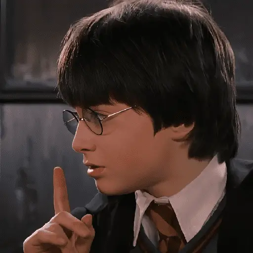 Harry Potter