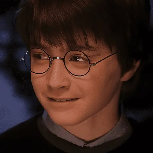 Harry Potter