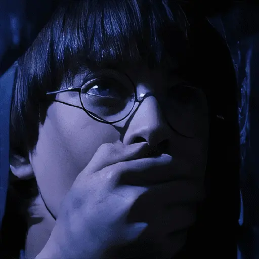 Harry Potter