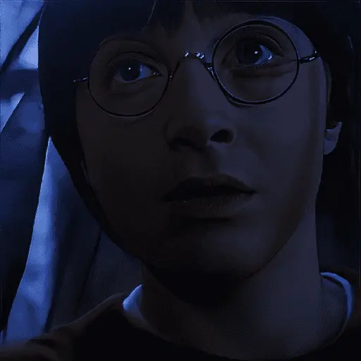 Harry Potter
