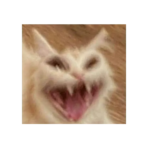 michis memes