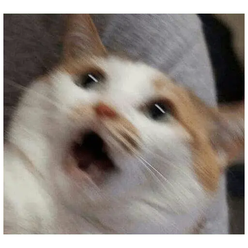 michis memes