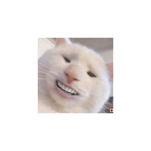 michis memes preview