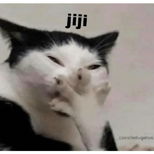 michis memes