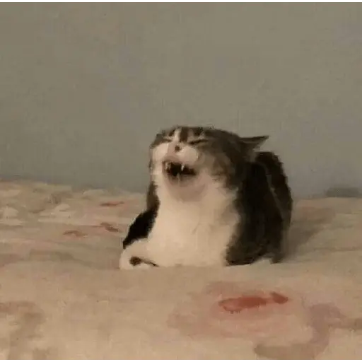 michis memes