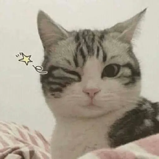 michis memes