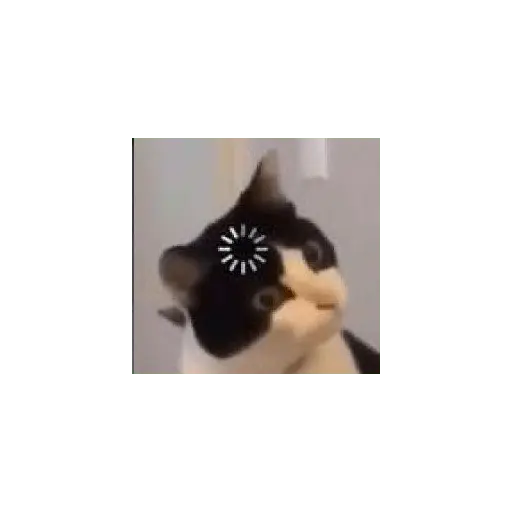 michis memes