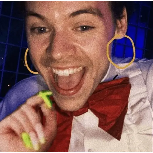 Harry Styles 🍉
